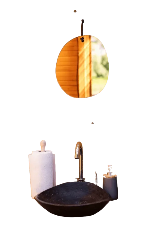 Bathroom-Modification-bonsall-ca